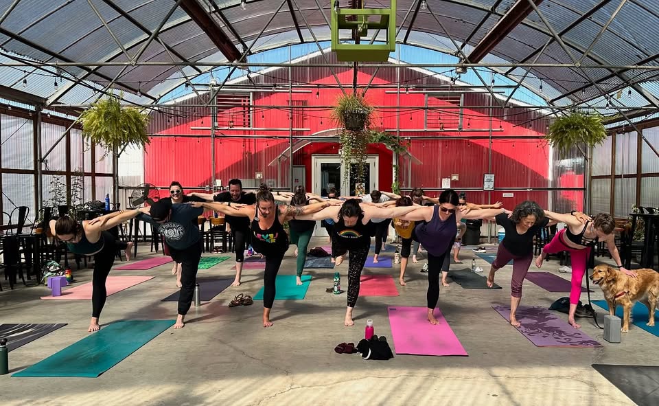 Yoga + Beer Portland | Level Beer