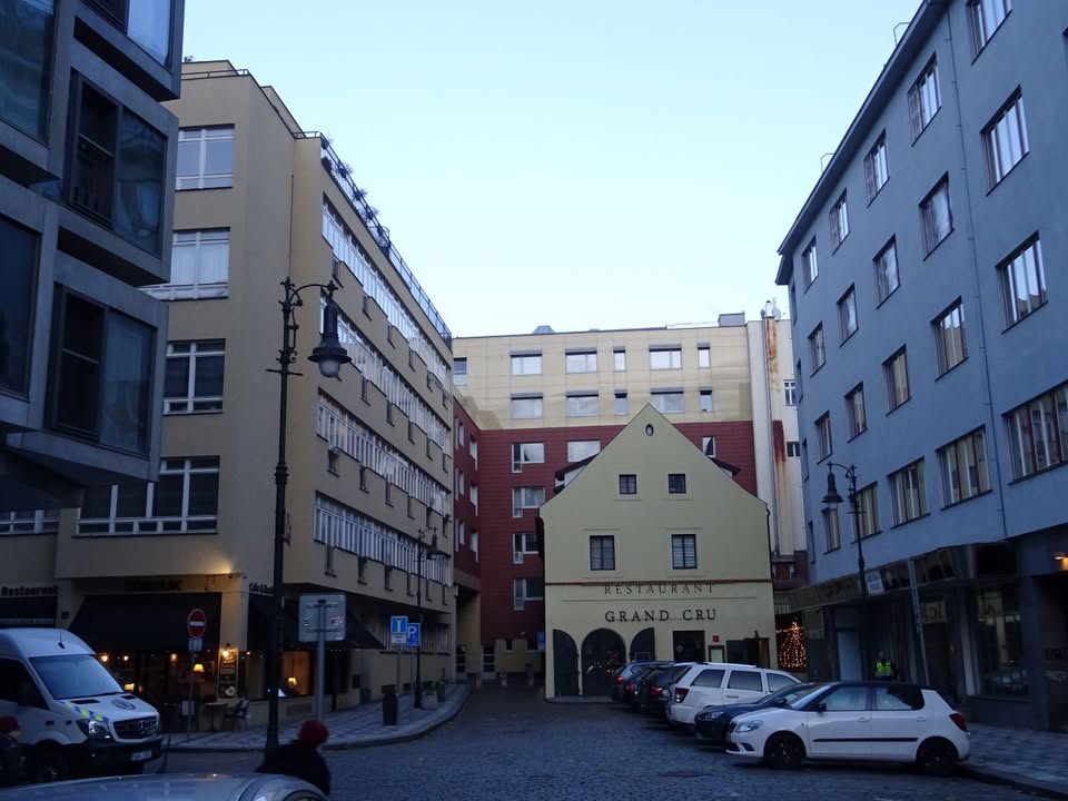 Prosincová vycházka
