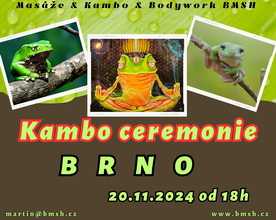 Kambo ceremonie Brno 20.11.2024