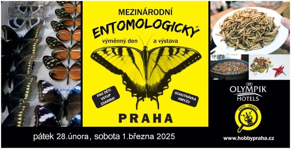 Prodejní výstava brouků a motýlů