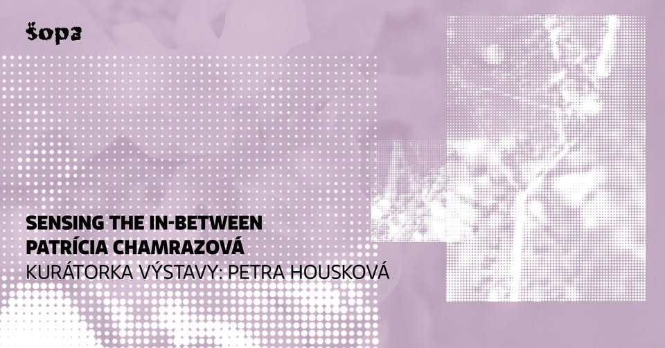 Patrícia Chamrazová – Sensing the In-Between