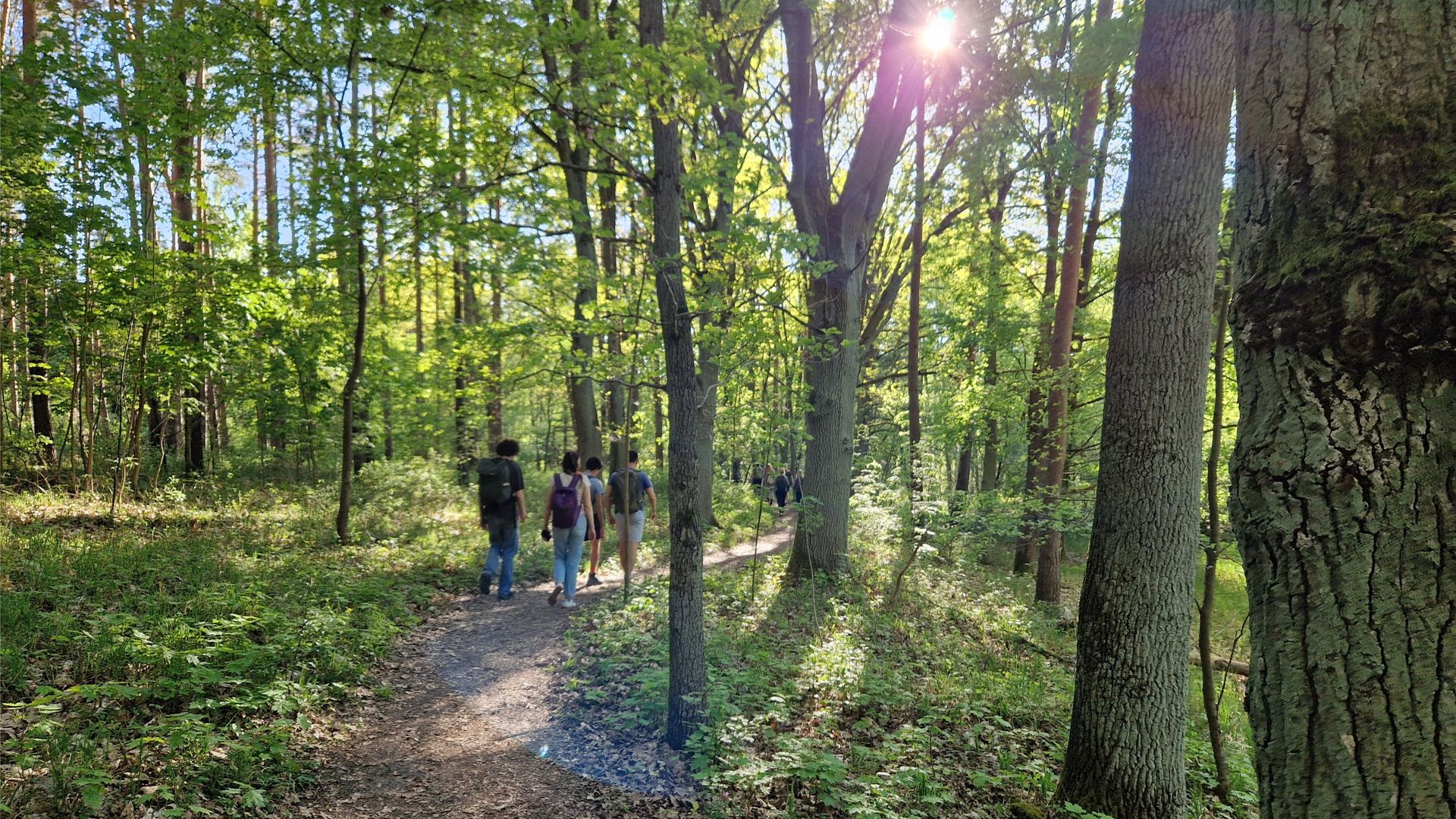 42,2 km Wandern - Let's do it again! - Grünau, Müggelsee & Erkner (Hike)