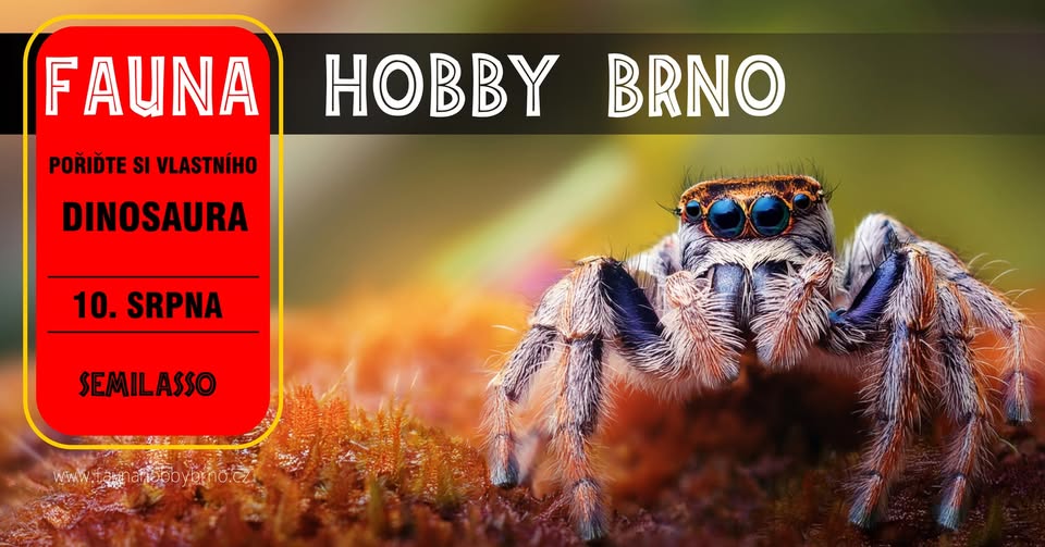 TERARIJNÍ a AKVARIJNÍ TRHY Fauna Hobby Brno