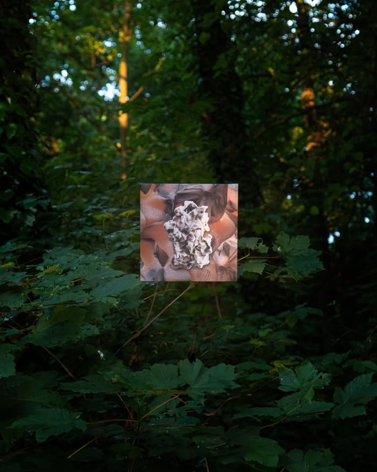 SEISMIC003 Vinyl Release - Twist Bar
