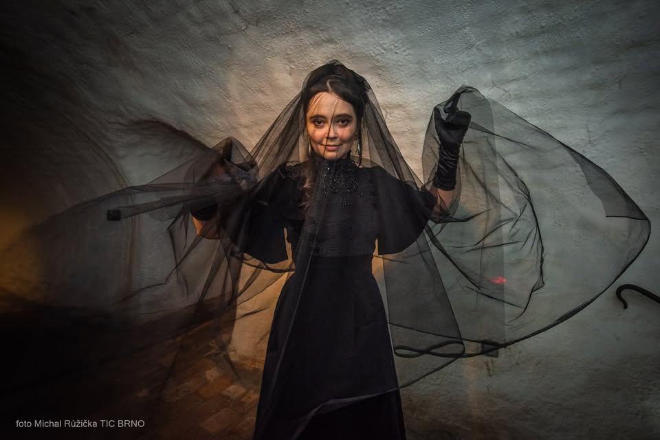 Fairy tale in the cellar