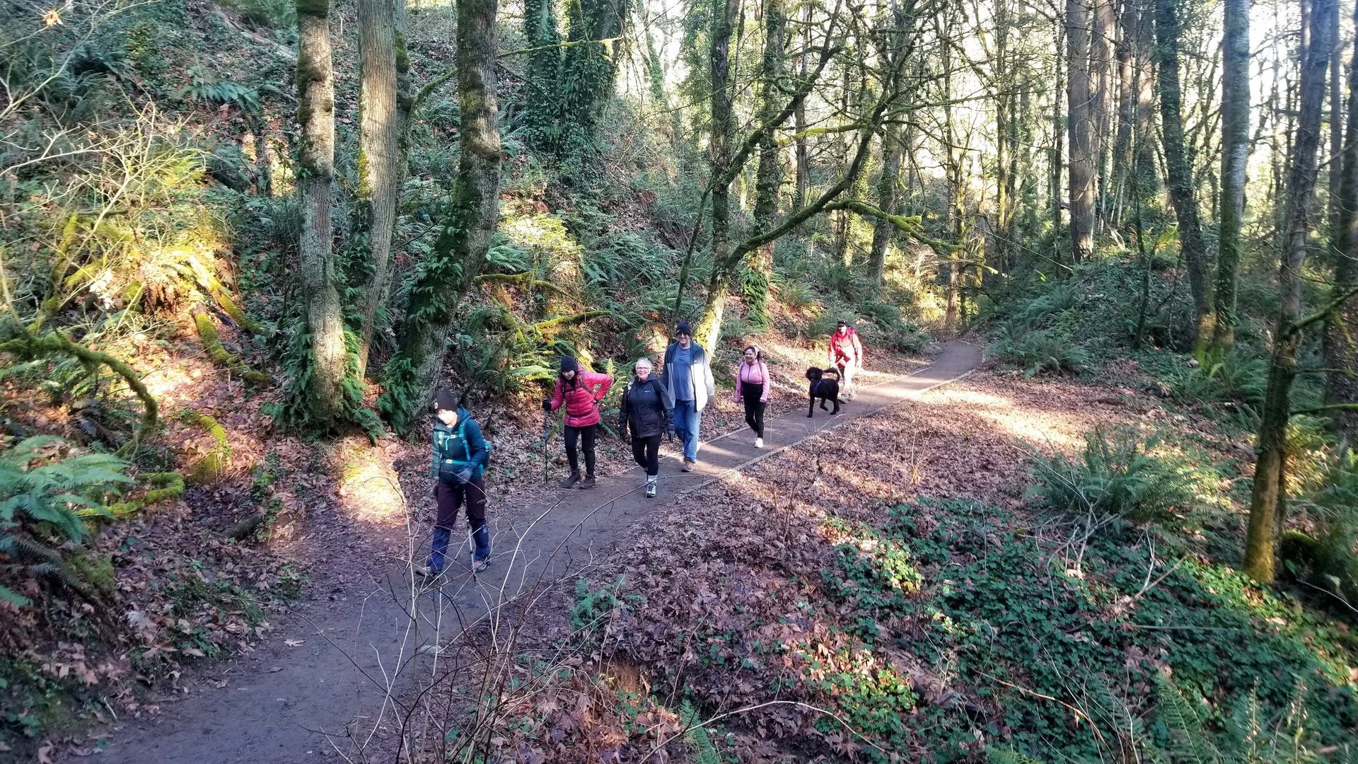 Forest Park Beginner Friendly Fridays All Trails Challenge: Hike #08