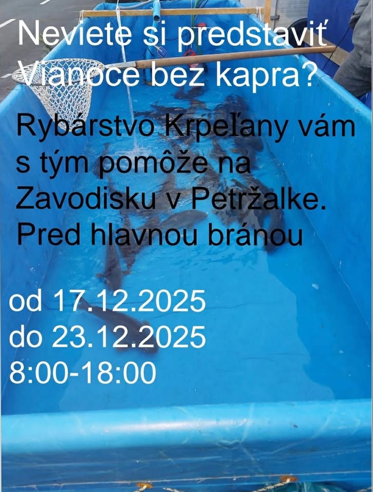 vianočný kapor
