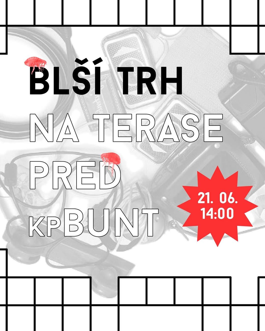 🪲BLŠÍ TRH 🪲