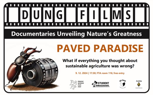 DUNG FILMS: PAVED PARADISE