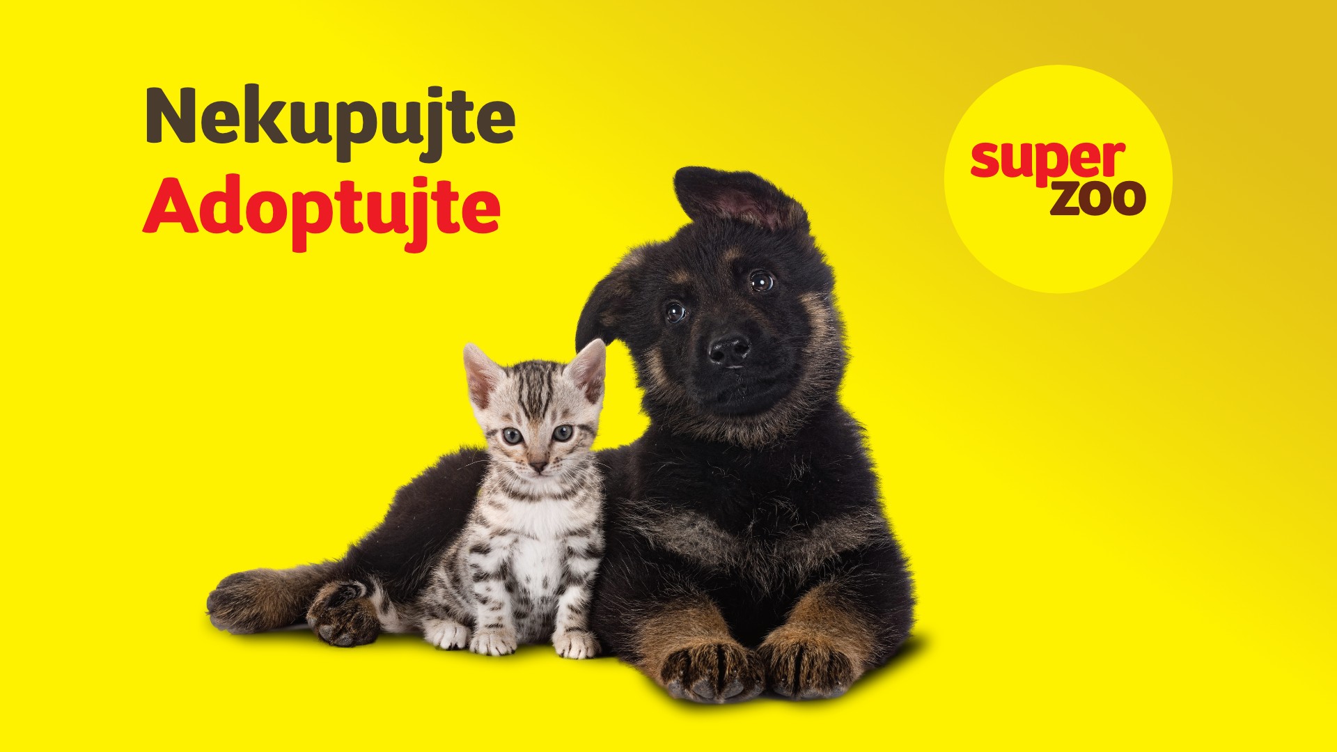 Adopčný deň v Super zoo Avion Bratislava