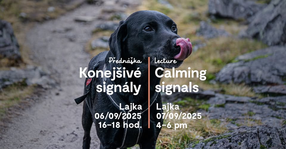 Přednáška: KONEJŠIVÉ SIGNÁLY | Lecture: CALMING SIGNALS