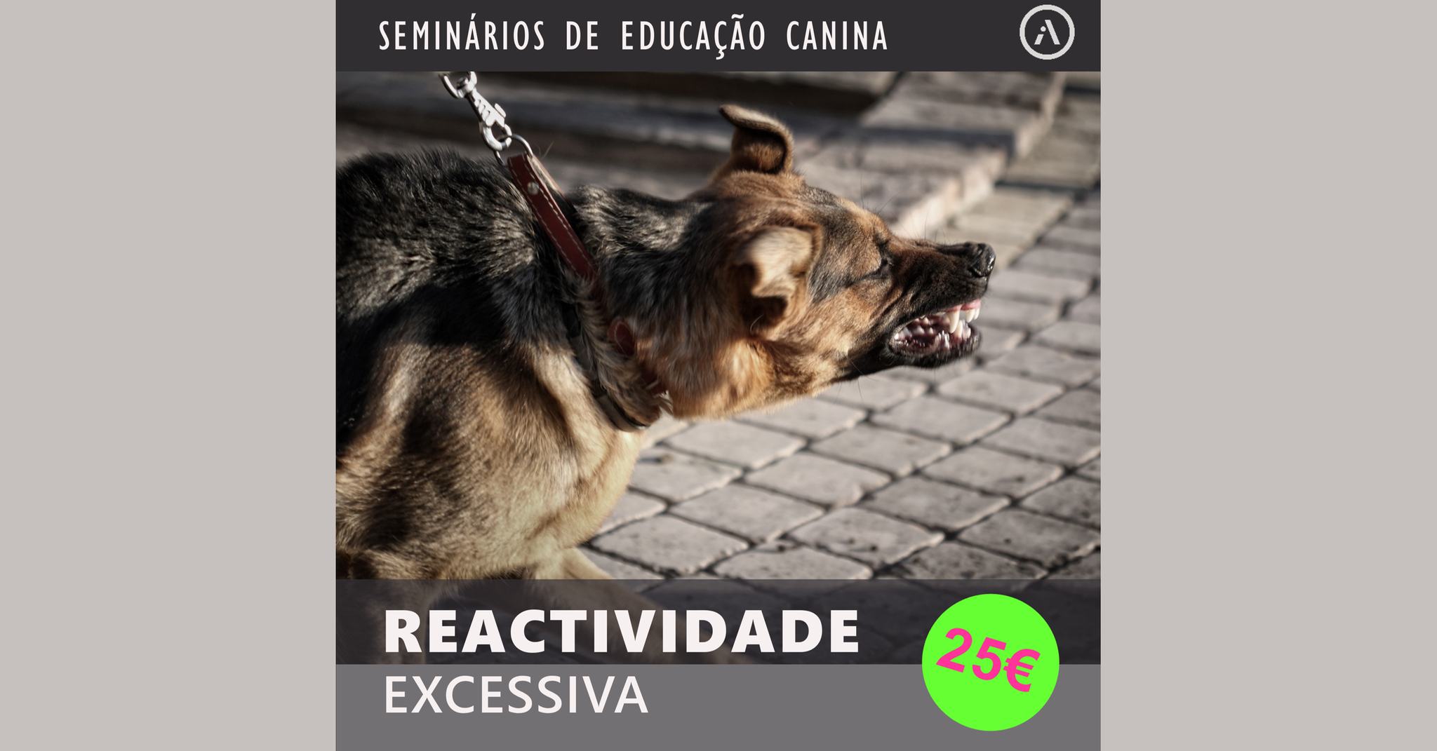 Reactividade Excessiva