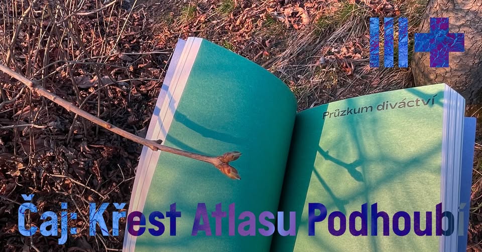 Čaj: Křest Atlasu Podhoubí 𓍊𓋼⋆˙🍄₊ ⊹˚𓋼𓍊 + Debata ke křtu a Kahoot kvíz