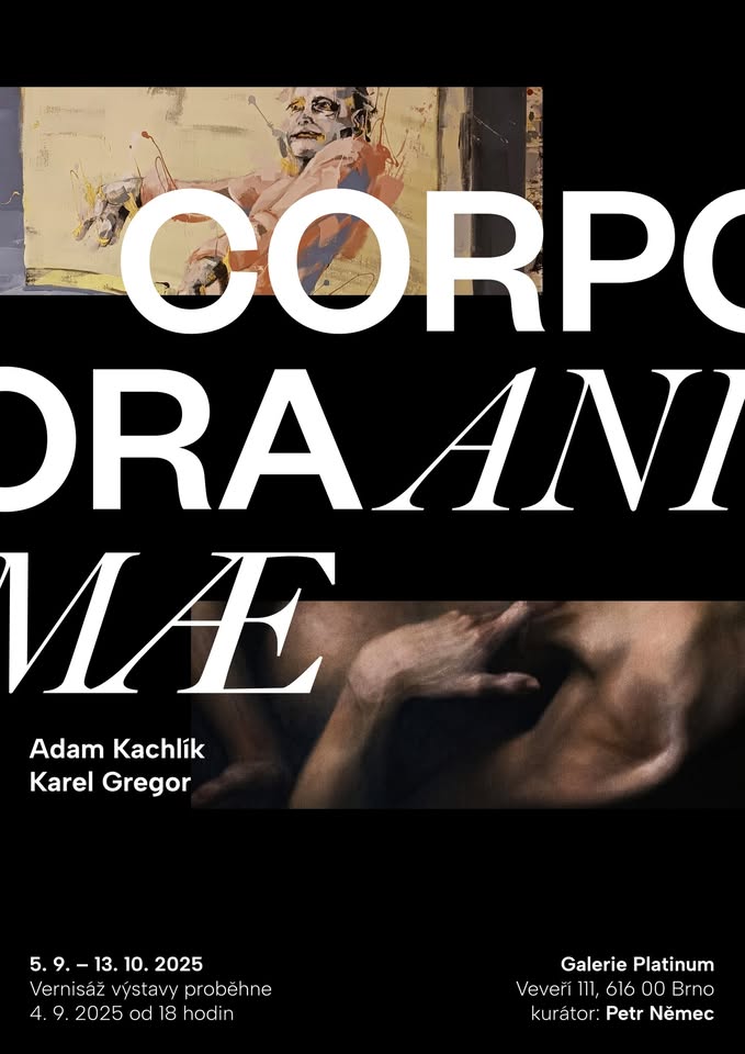 CORPORA ANIMAE, komentovaná prohlídka výstavy Adama Kachlíka a Karla Gregora