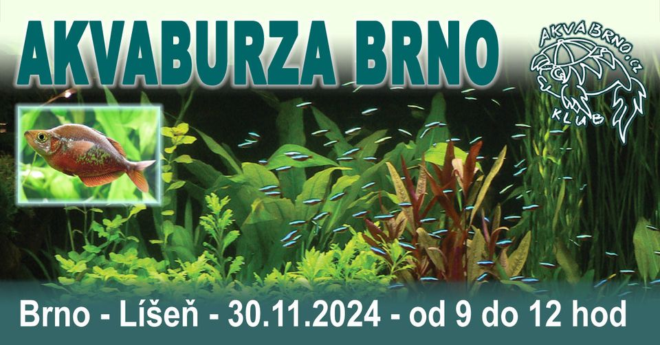 Předvánoční akvaristická burza