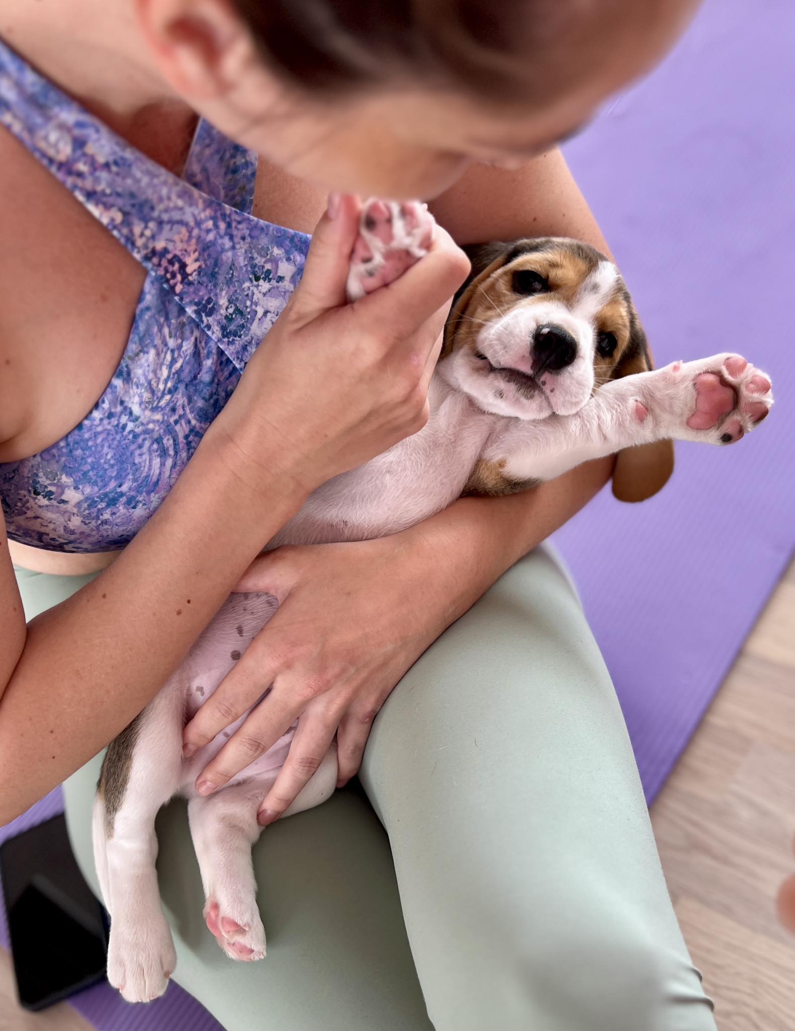 Jóga se štěňátky, puppy yoga, pets yoga, štěňata