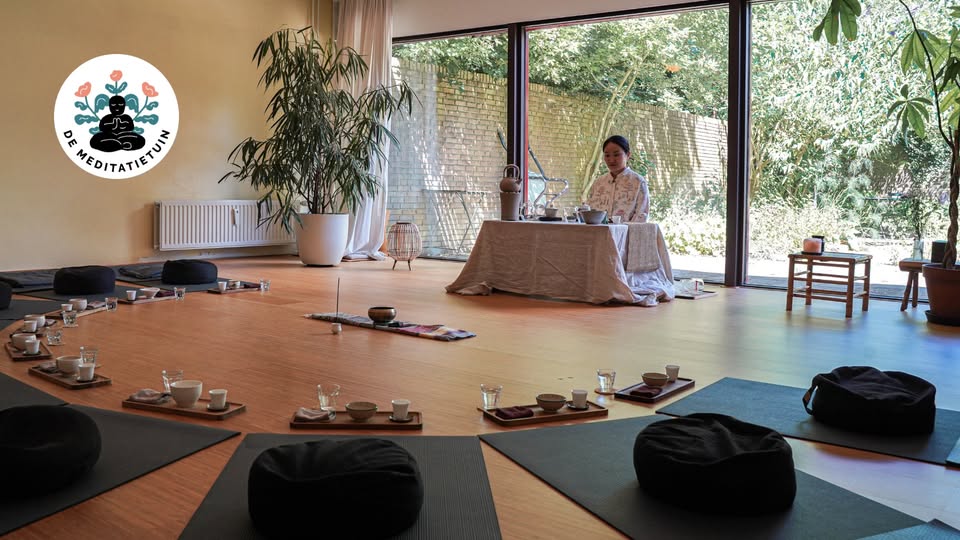 Mindful Chinese tea ceremony - Summer | Yin Cha