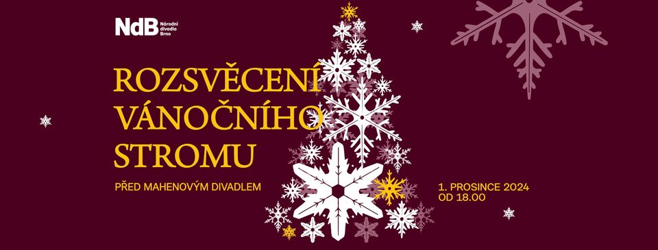 Rozsvěcení vánočního stromu před Mahenovým divadlem