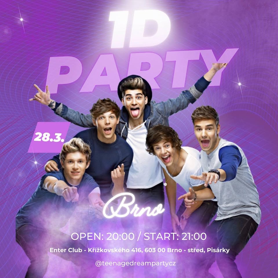 ONE DIRECTION PARTY BRNO