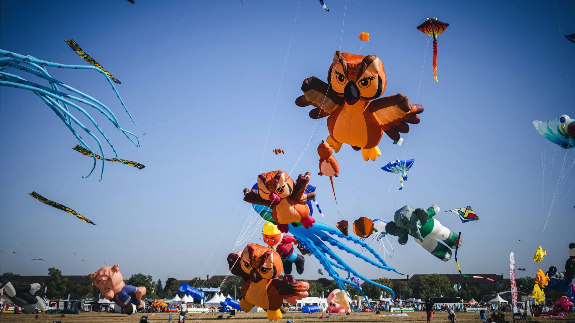 🪁 Festival of Giant Kites - Social Butterfly Club 🦋