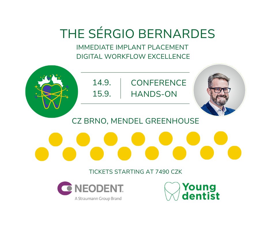 The Sérgio Bernardes