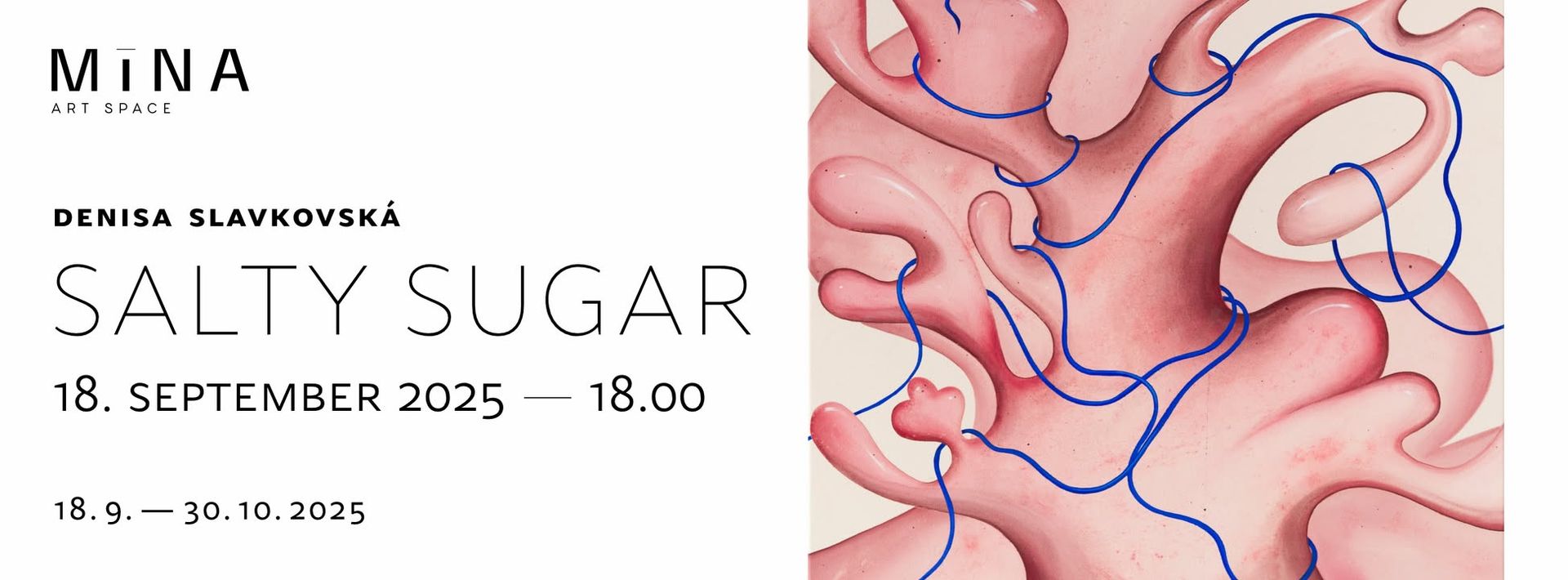 Salty Sugar | Denisa Slavkovská