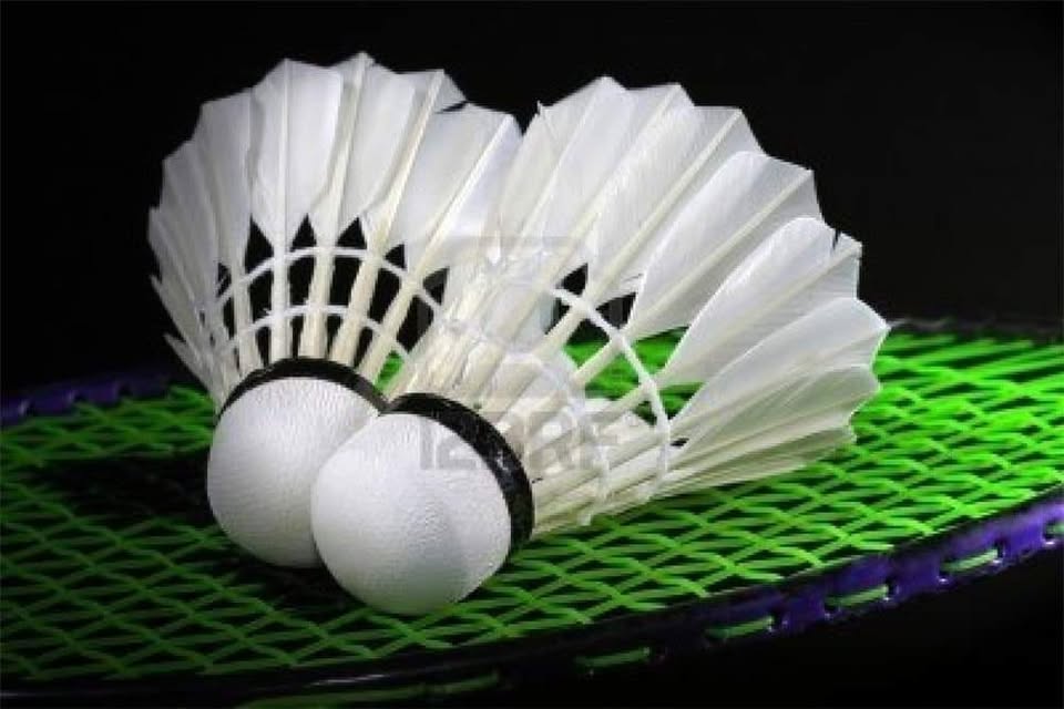 De Badminton Club Ruurlo Nieuwjaarstoernooi
