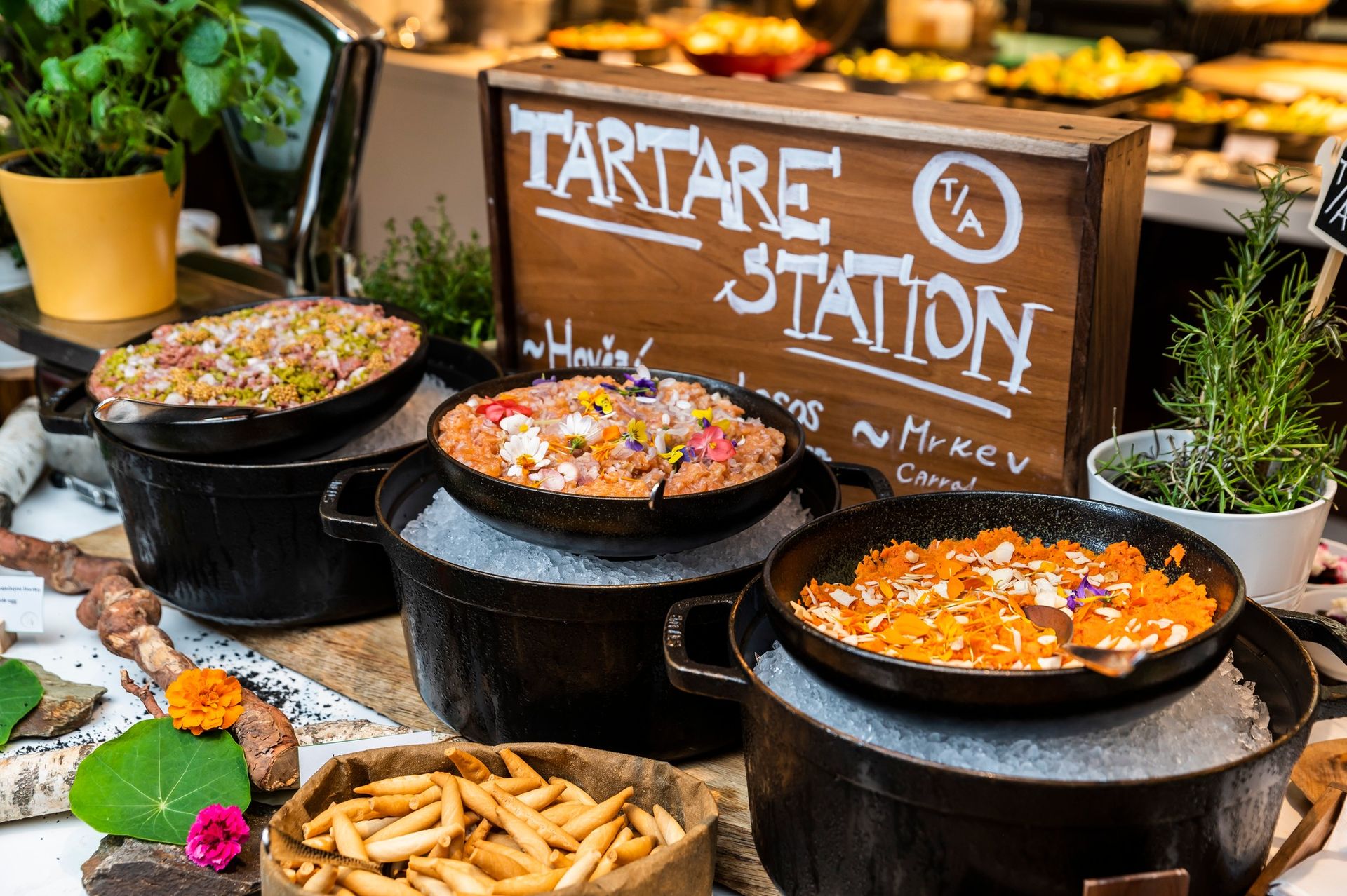 Bufetový tatarákový brunch - Buffet brunch featuring tartar selection