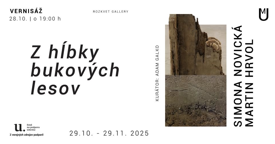 Z hĺbky bukových lesov | Simona NOVICKÁ, Martin HRVOL