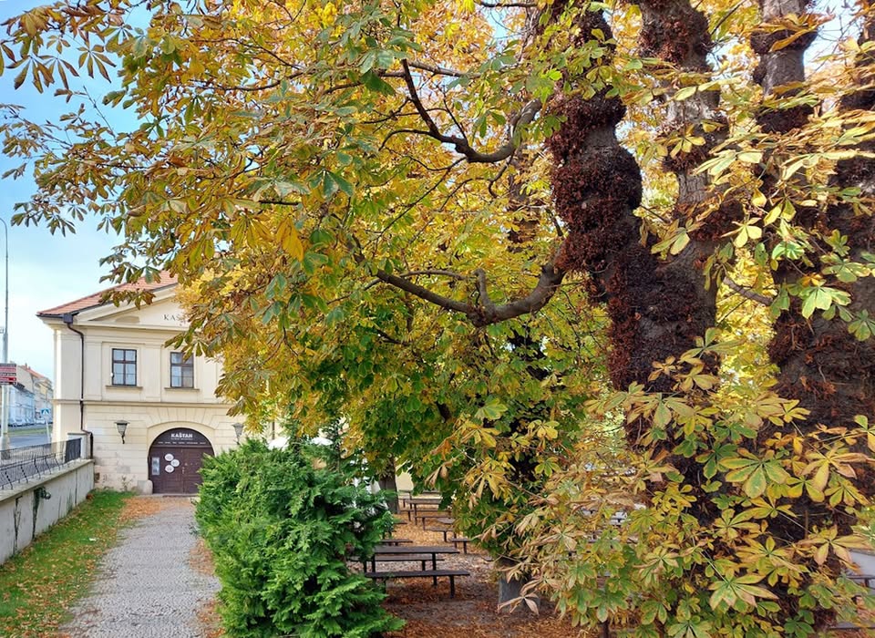 Shromáždění členů a přátel Unijazzu 2025