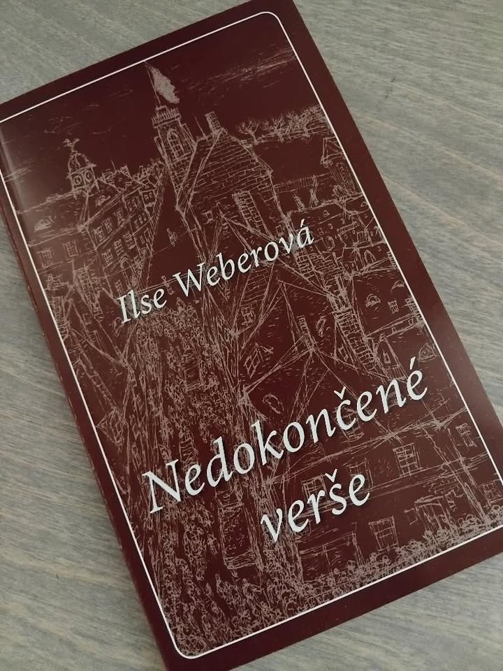 Poezie za zdí
