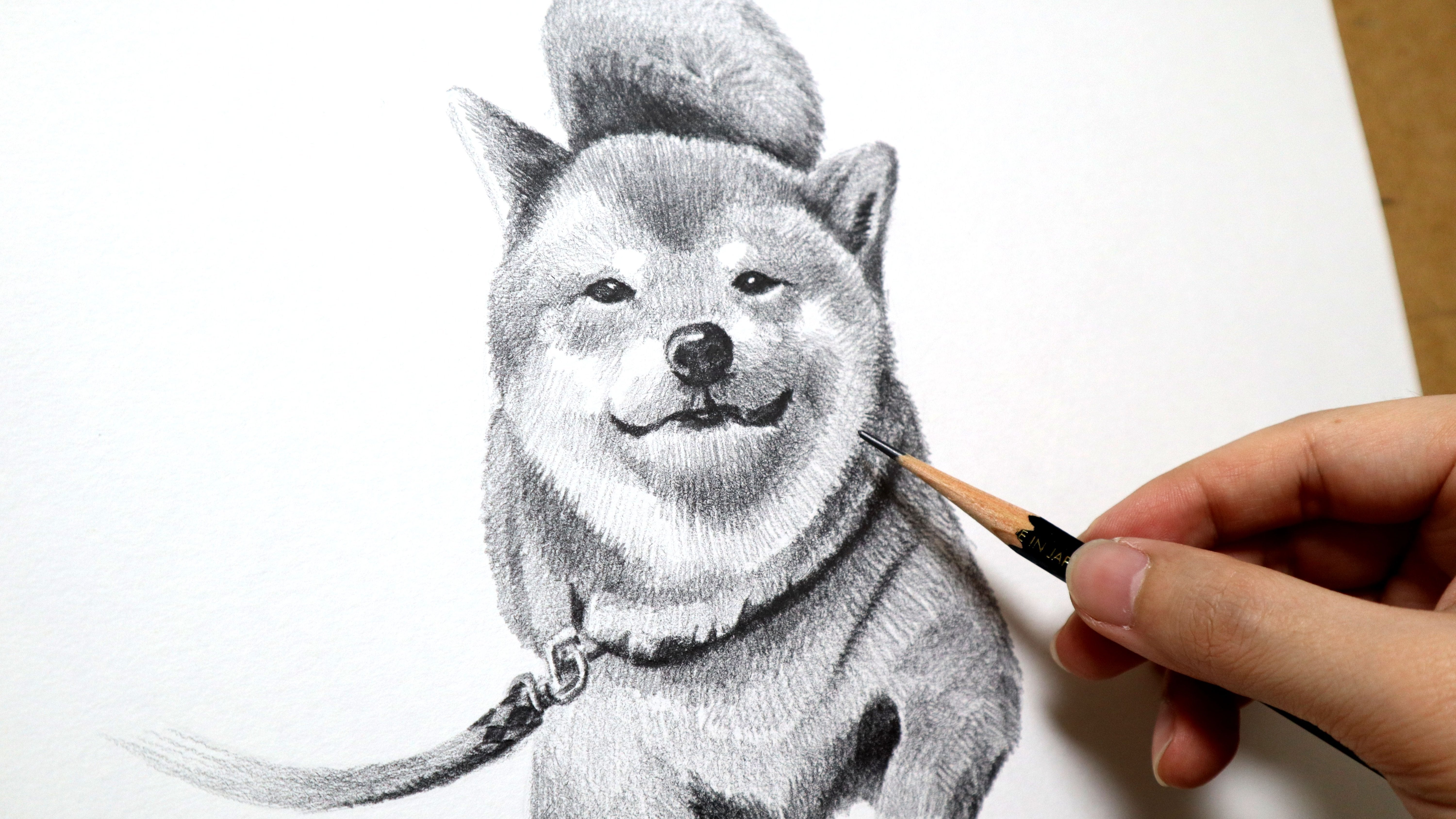 BASIC DRAWING course LEVEL 2 - 12 sessions