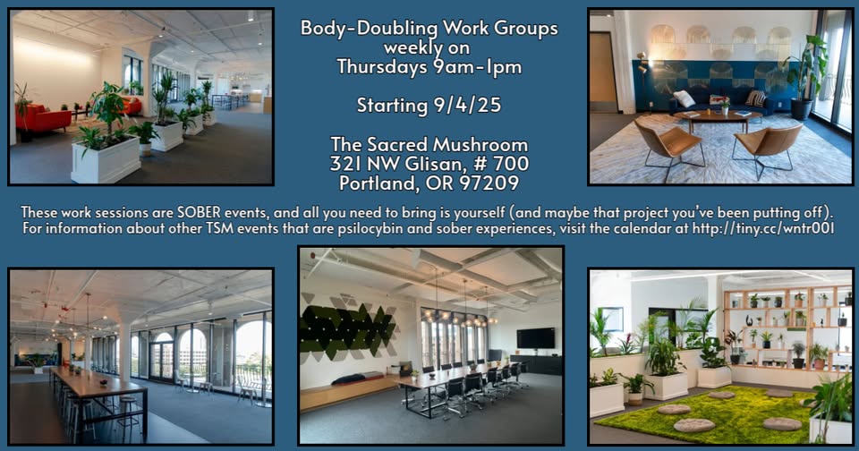 Body-Doubling Work Group