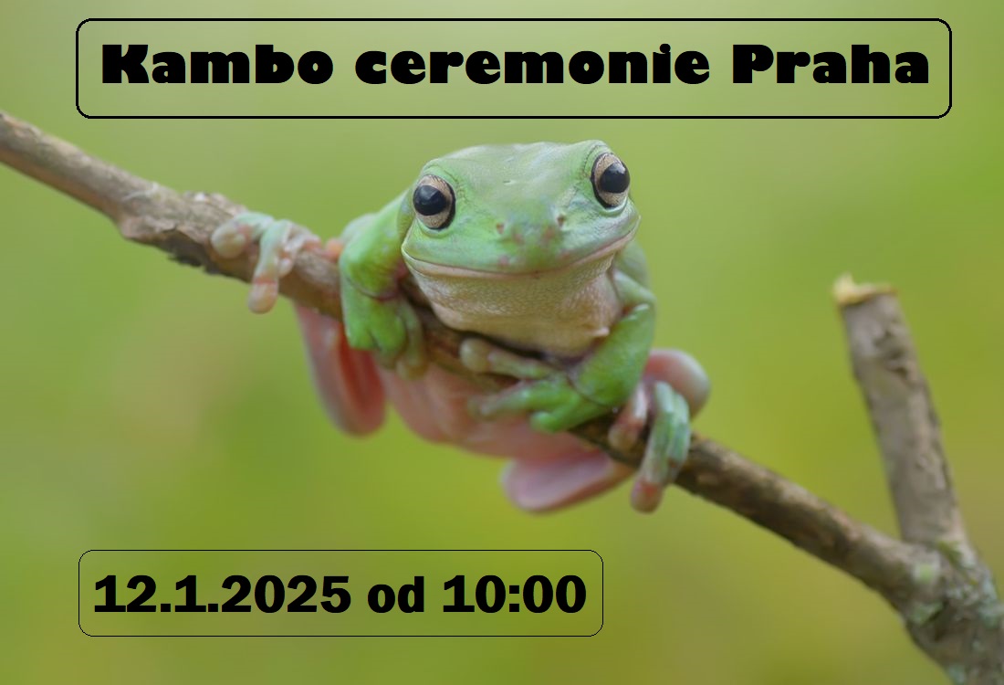 Kambo ceremonie Praha 12.1.2025