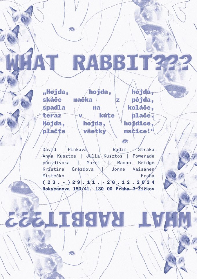 What Rabbit? (Vernissage)