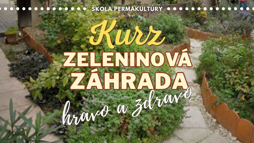 Zeleninová záhrada hravo a zdravo