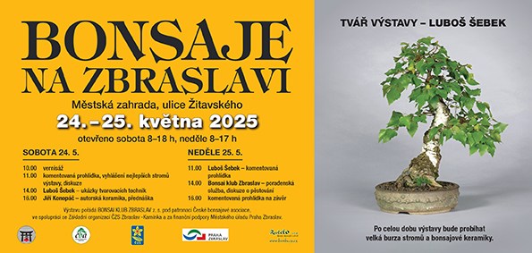 Bonsaje na Zbraslavi