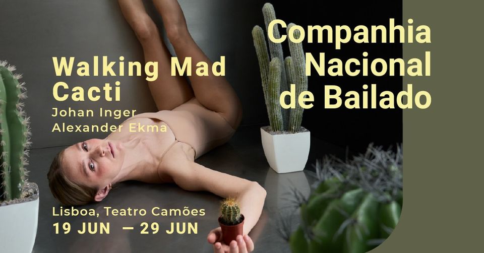 Walking Mad/Cacti com Quarteto de Cordas de Matosinhos :: Inger, Ekman :: CNB 2024/2025