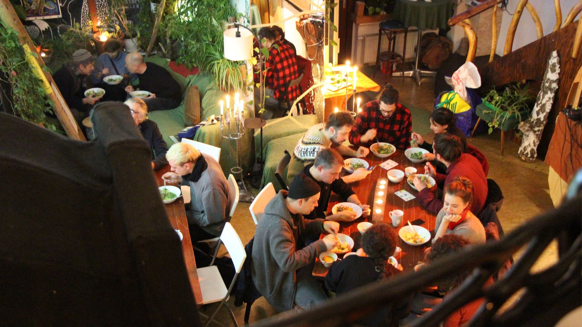 Baumhaus Open Networking + Bio-Vegan Buffet + Project Open Call