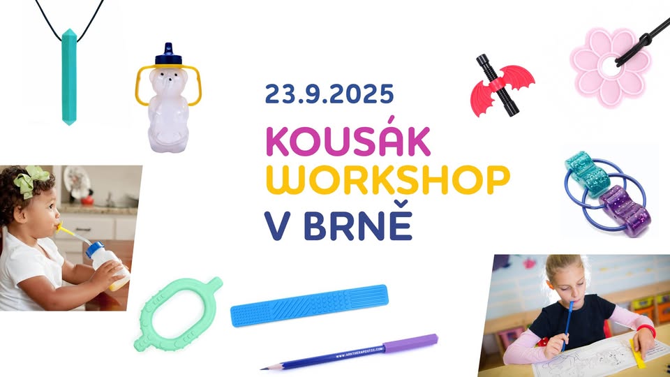 Workshop Kousák BRNO