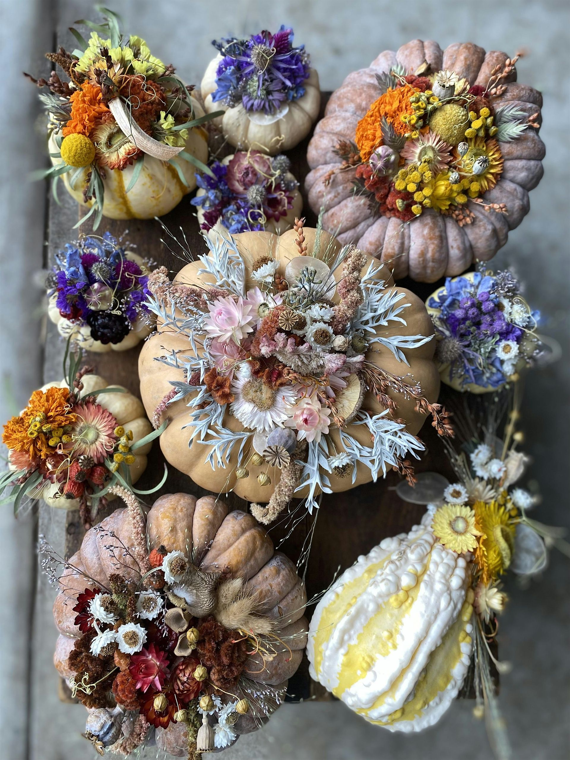 Dried Flower Pumpkin Centerpiece Workshop, Oct 1st · 7:00–8:30 PM
