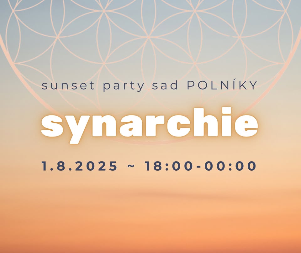 SYNARCHIE ~ sunset party POLNIKY
