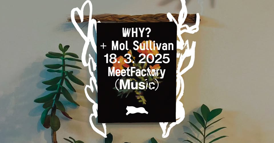 WHY? + Mol Sullivan