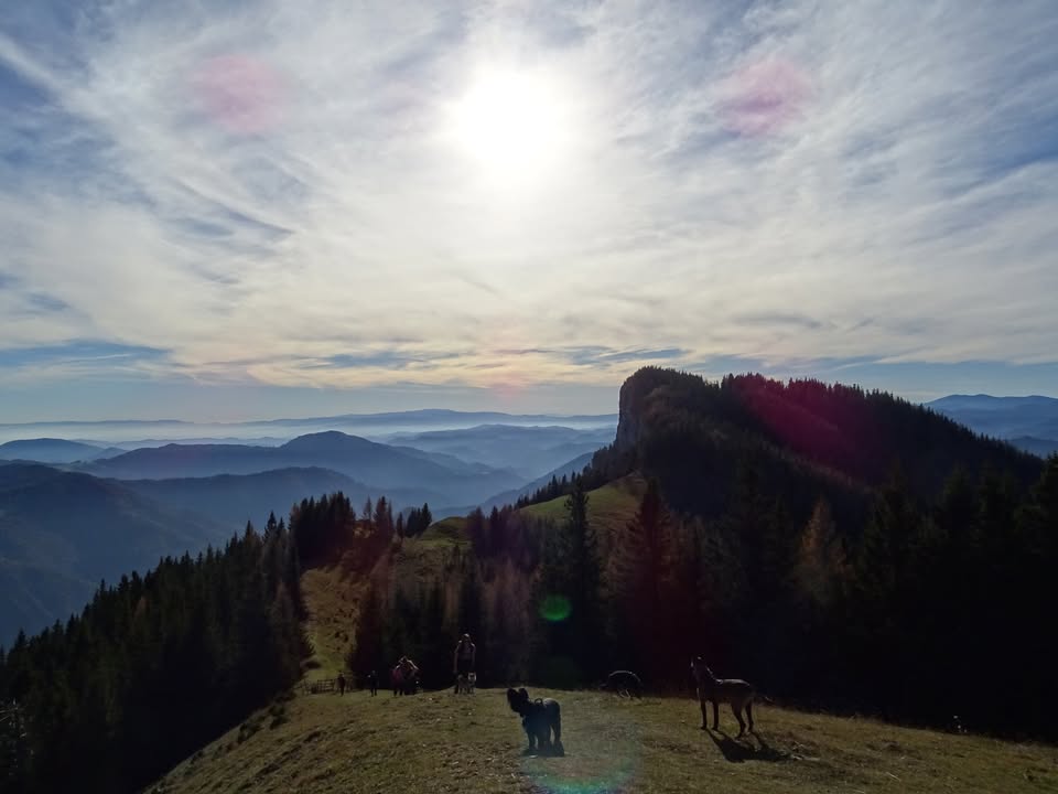 343. Dog Hájking Kutyás Túra (Ausztria, Rote Wand)