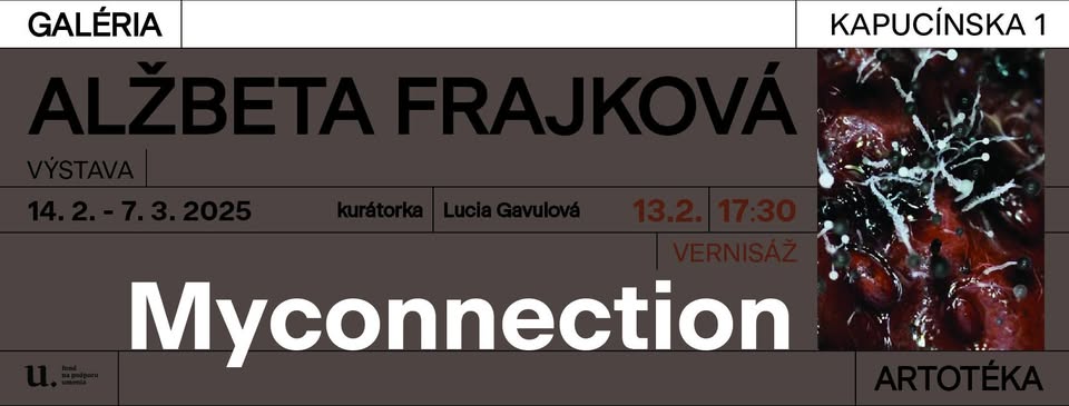 Alžbeta Frajková / Myconnection - Vernisáž výstavy