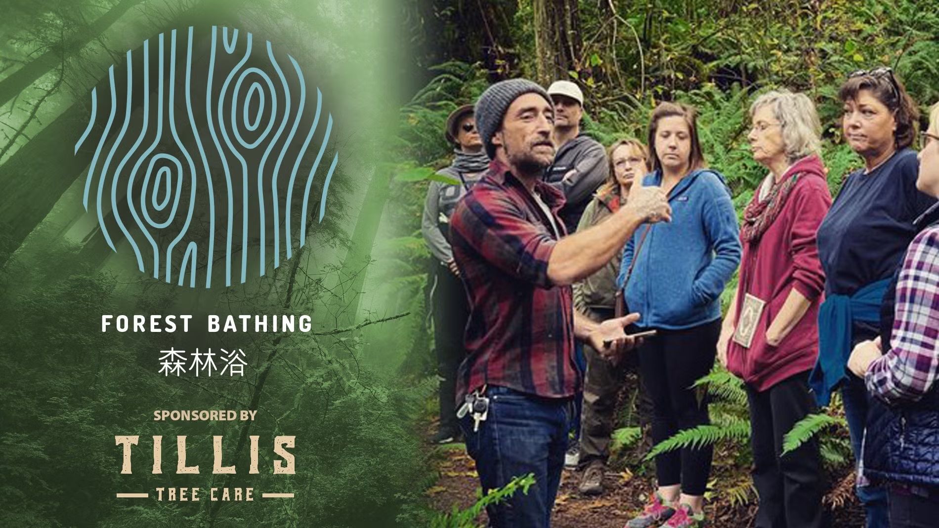 Recharge and Refocus: Transformative Forest Bathing Experience