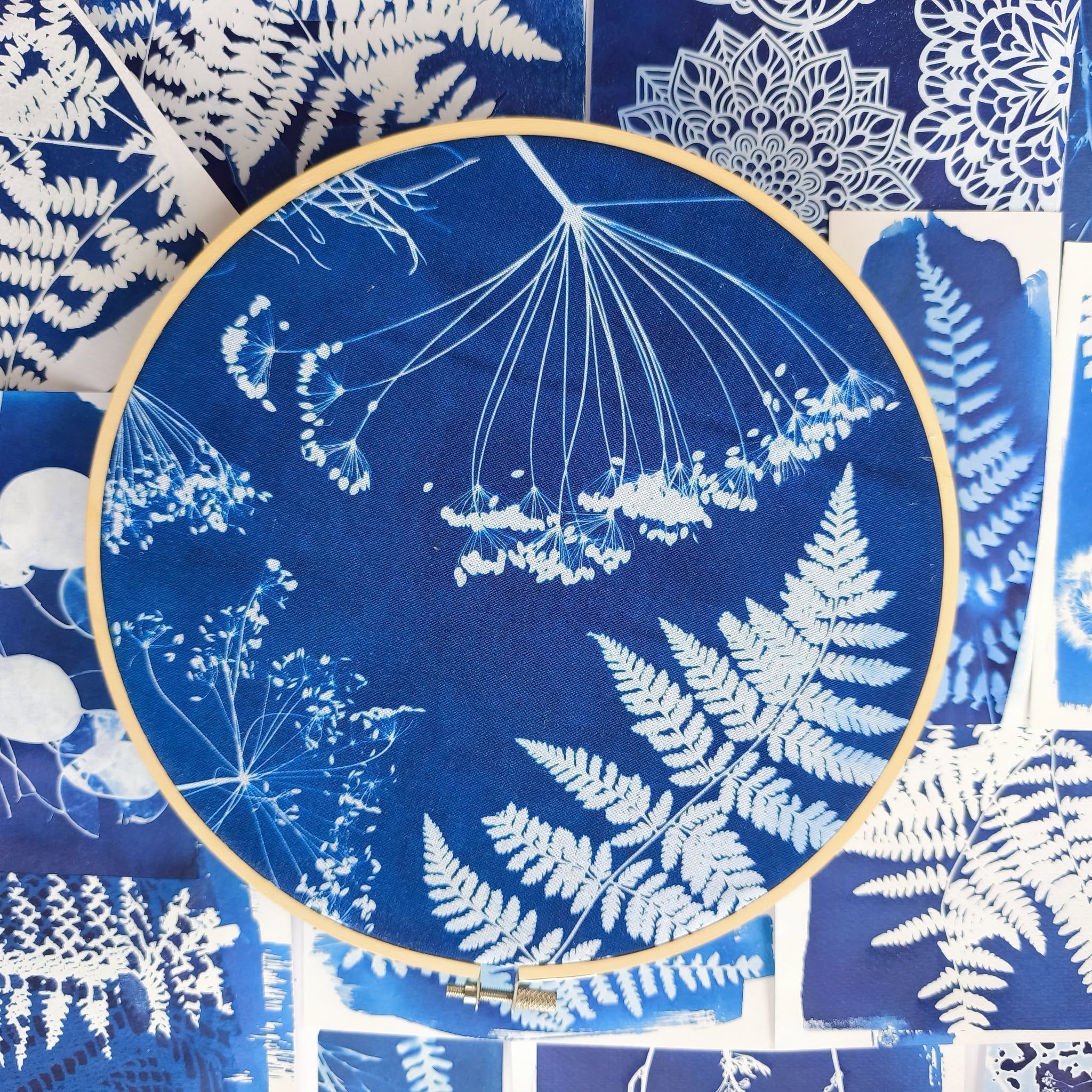 Tajemství kyanotypie: Vytvořte si svůj unikátní obrázek