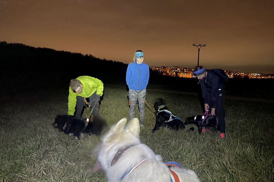 Canicrossový výběh pro začátečníky 29/24