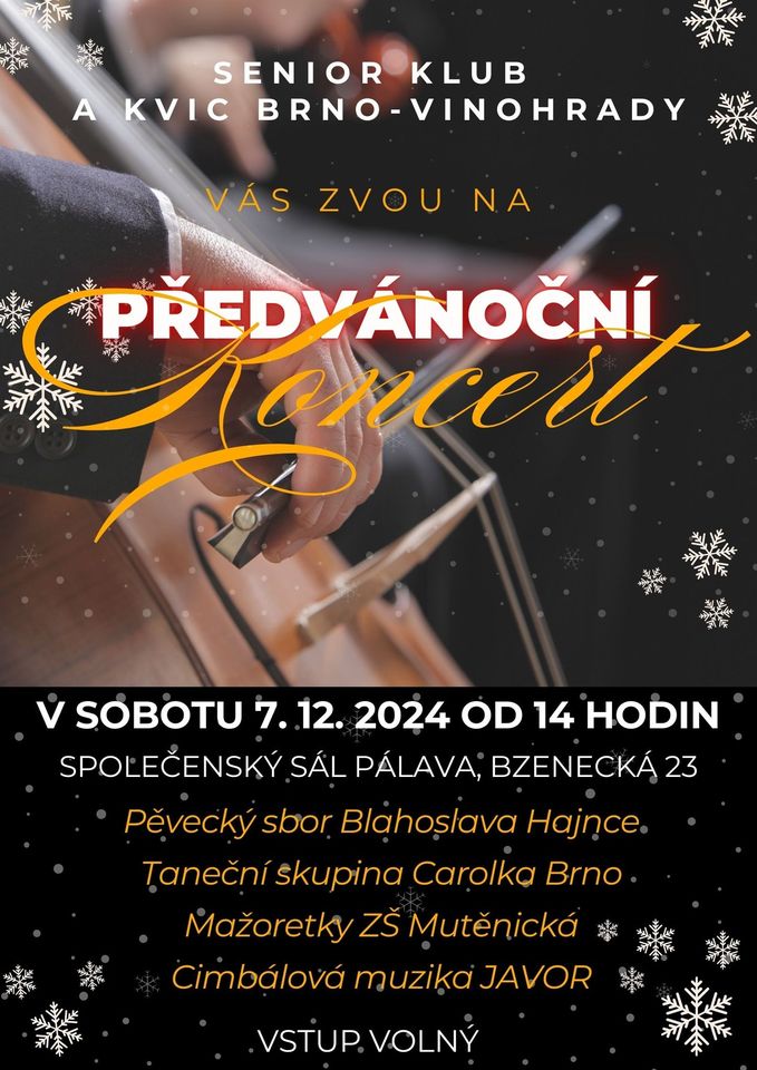 Předvánoční koncert