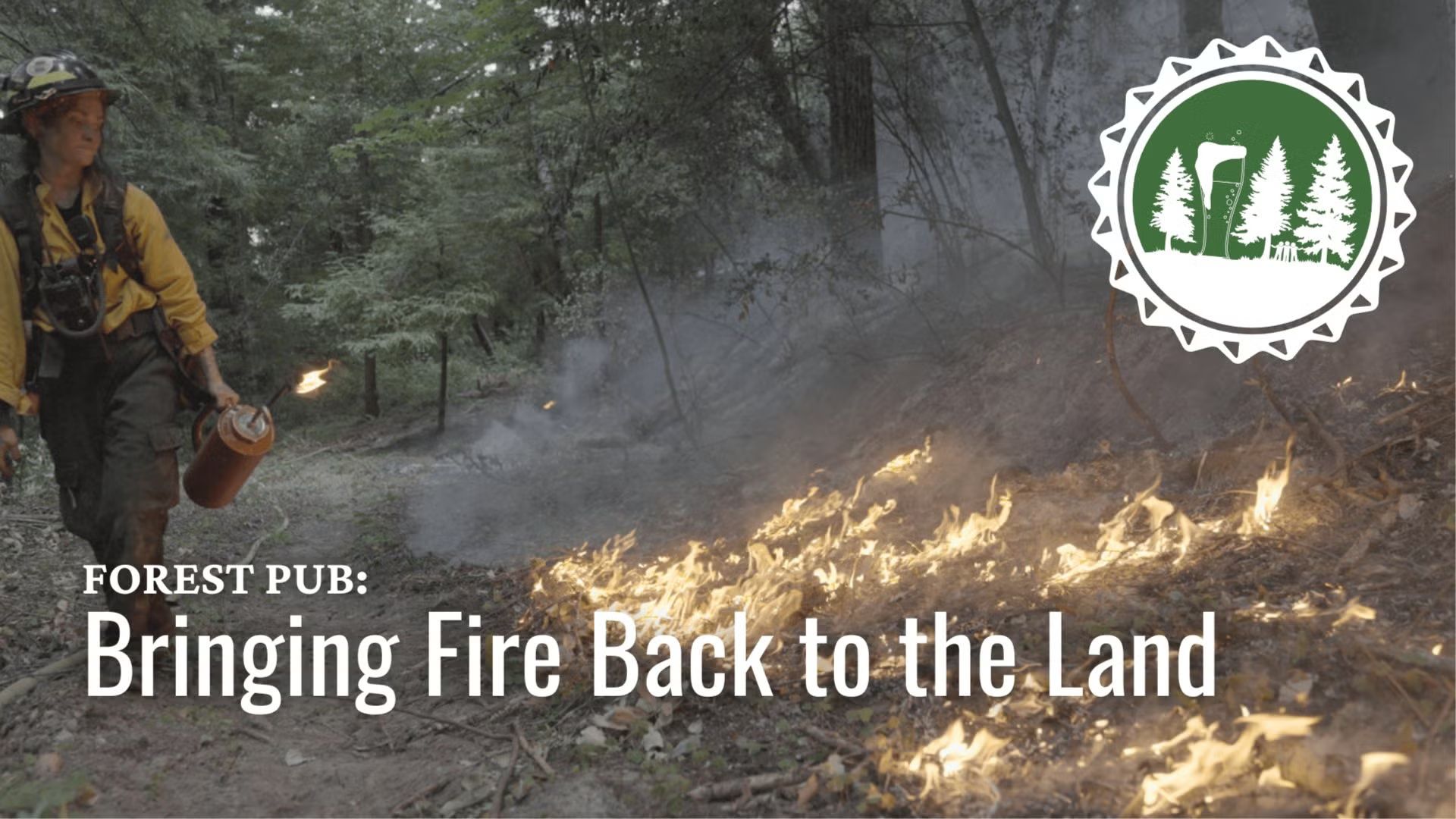 Forest Pub: Bringing Fire Back to the Land